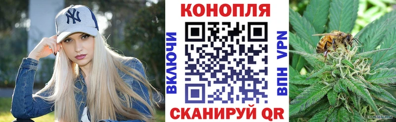 Сколько стоит Шенкурск COCAIN  АМФ  Меф  Гашиш  Конопля  Alpha-PVP 