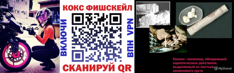 что такое OMG ССЫЛКА COCAIN Fish Scale Шенкурск