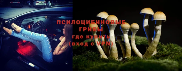 прущий лед Абаза