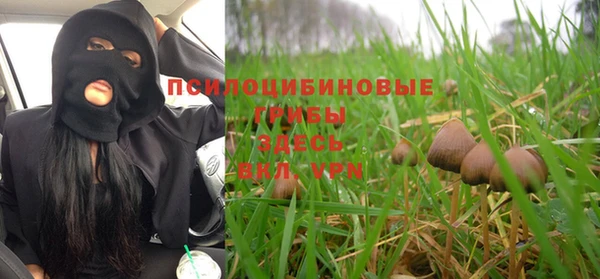 прущий лед Абаза