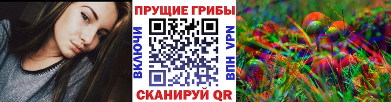 Галлюциногенные грибы Cubensis  blacksprut tor  Шенкурск 